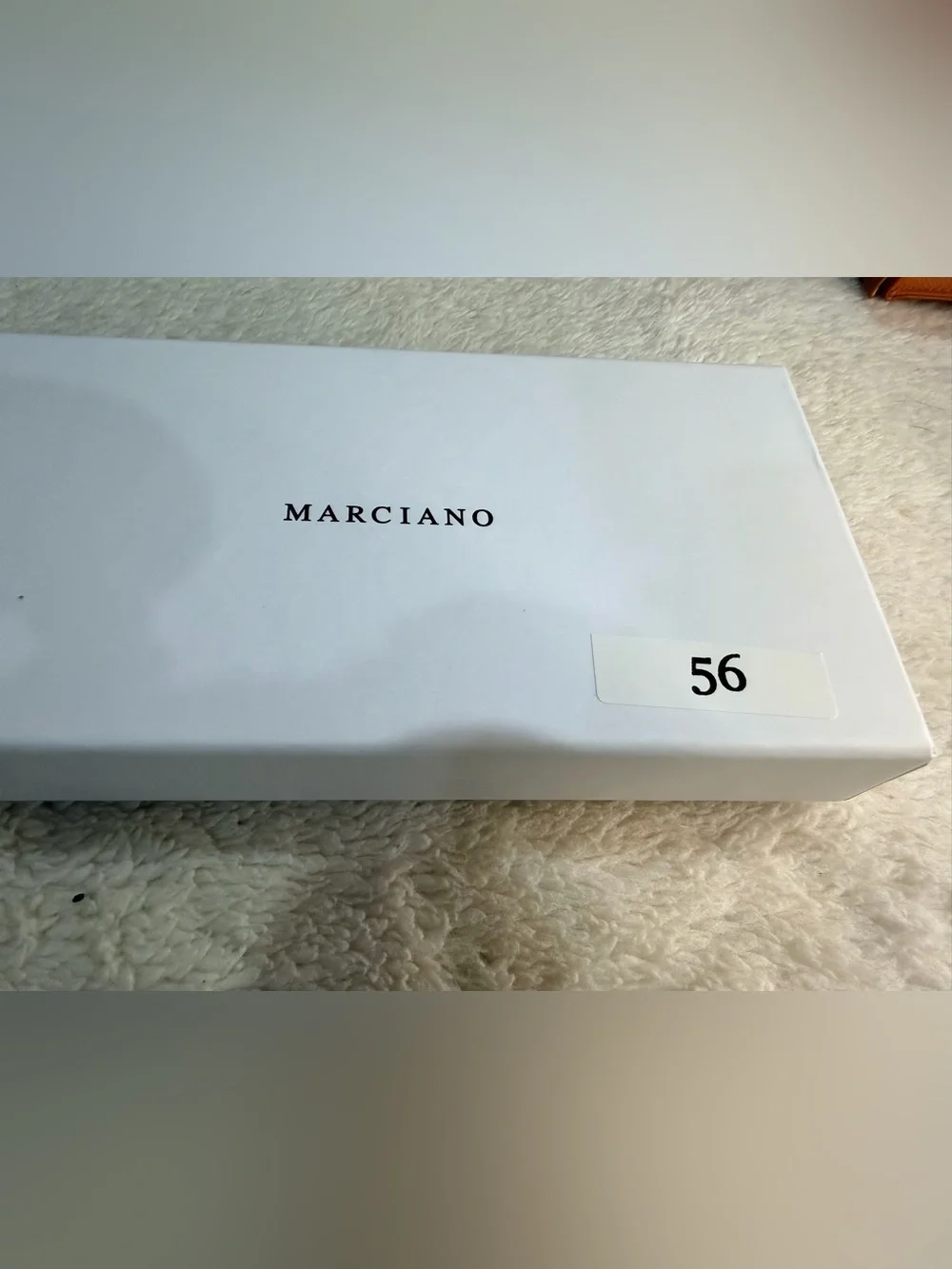 Marciano stylish cat